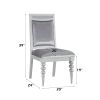 Maverick Fabric & Platinum Finish Side Chair (Set of 2)